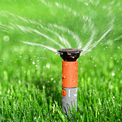Irrigation & Sprinklers